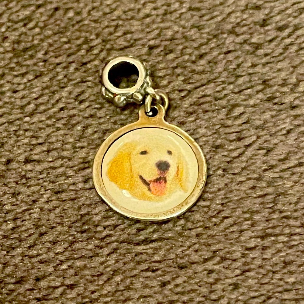 Lab Retriever Charm